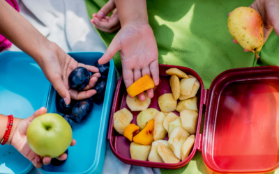 Coatesville Elementary Schools Awarded Funds to Provide Healthy Snacks to Students