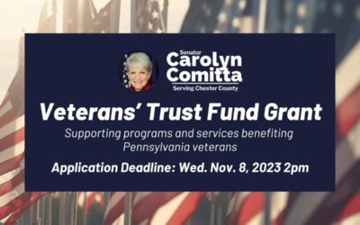 Comitta: Grant Funding Now Available for Veterans’ Services