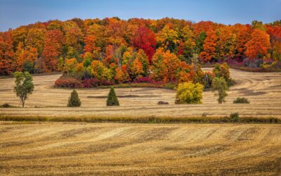 Comitta: Two West Fallowfield Farms Protected Under Ag Conservation Program