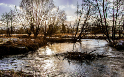 New Funding Awarded to Reduce Sediment Pollution in Chester County Waterways